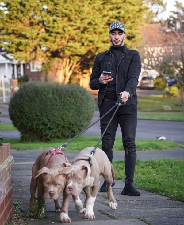 Sun: Former West Ham player Bin Rahma is accused of hurting people in his bulldog